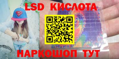 спиды Гай