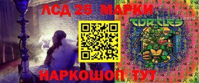 бошки Гатчина