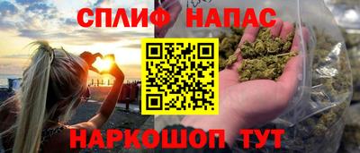 бошки Гатчина