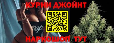 бошки Гатчина