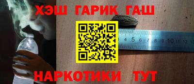 спиды Гай