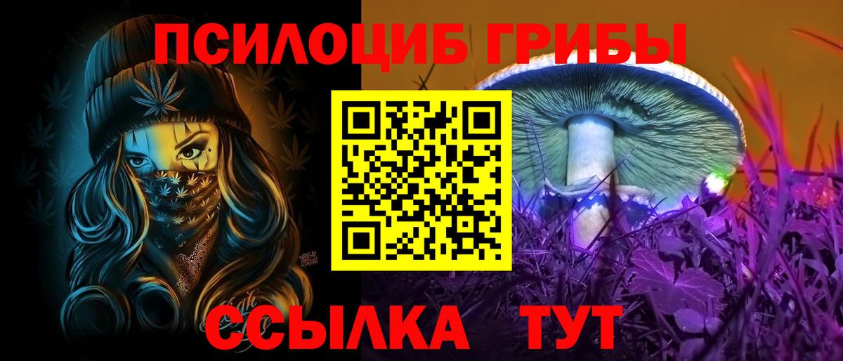 Псилоцибиновые грибы GOLDEN TEACHER Каменск-Шахтинский