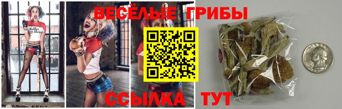Псилоцибиновые грибы MAGIC MUSHROOMS  Вход с VPN  Каменск-Шахтинский 